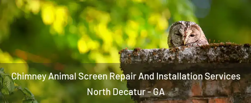 Chimney Animal Screen Repair And Installation Services North Decatur - GA