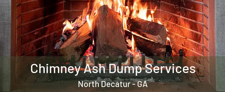 Chimney Ash Dump Services North Decatur - GA