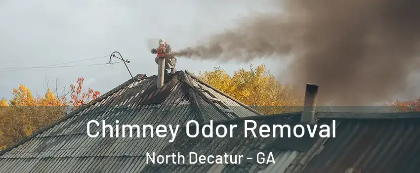  Chimney Odor Removal North Decatur - GA