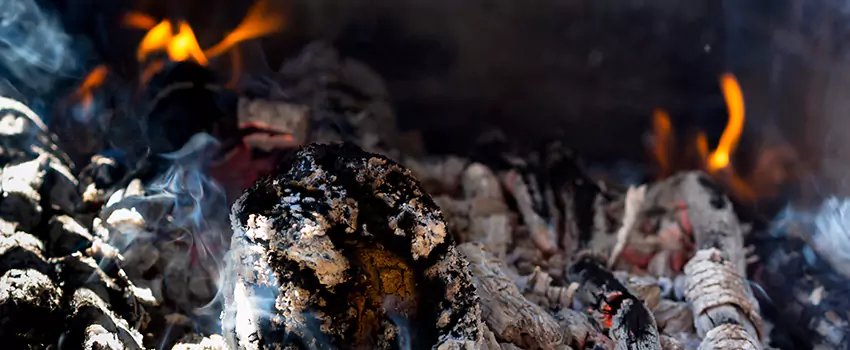 Creosote Removal Experts in North Decatur, GA