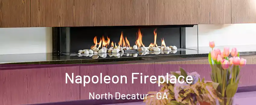 Napoleon Fireplace North Decatur - GA